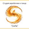 \"СиЛа\" Студия акробатики и фитнеса